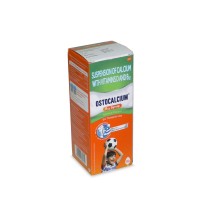 Ostocalvium B12 Syrup